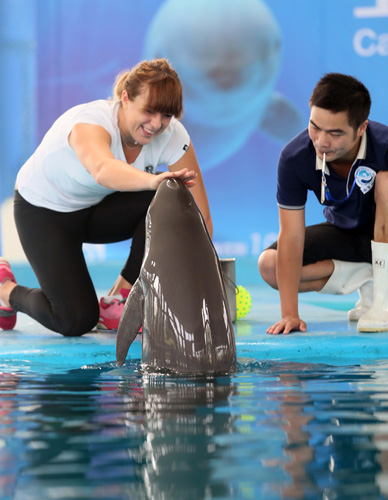 国米有意索 国米有意索